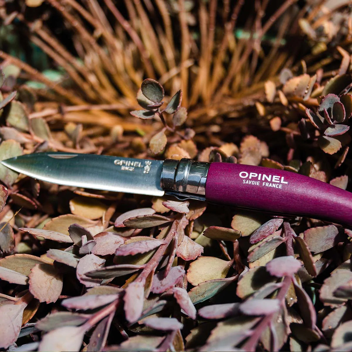 Stainless & Carbon Steel Garden Knife Trio