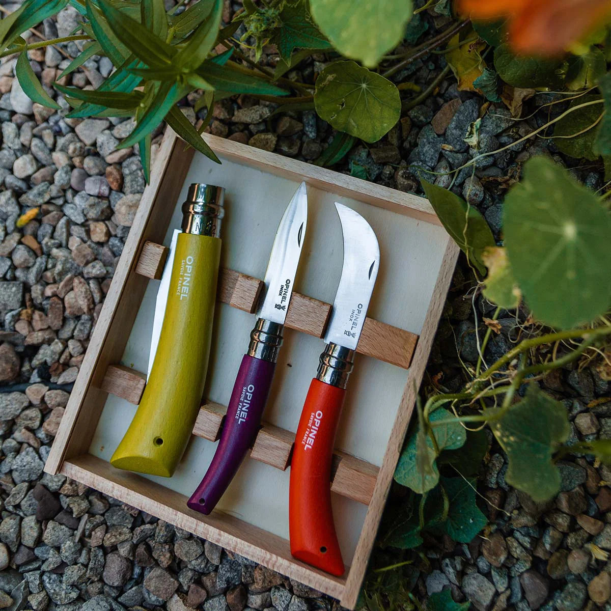 Stainless & Carbon Steel Garden Knife Trio