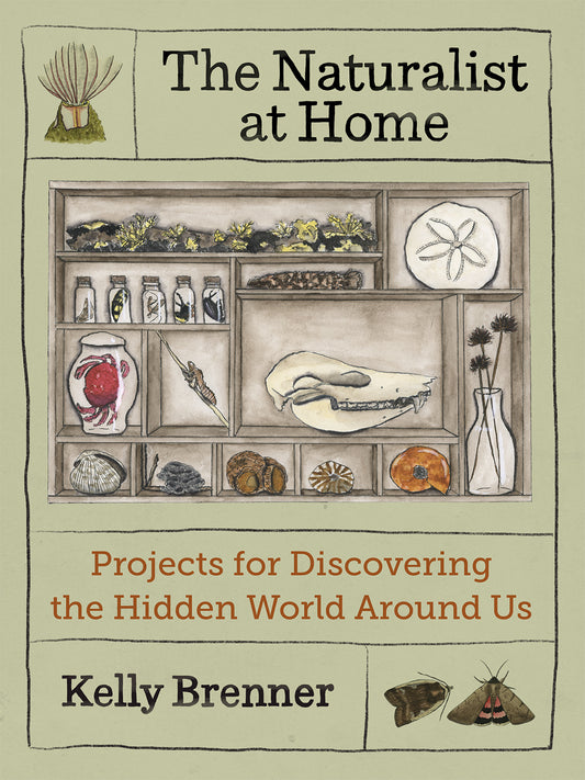 The Naturalist at Home