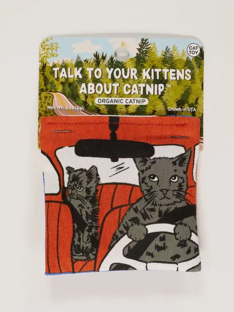 TALK TO YOUR KITTENS ABOUT CATNIP TOY