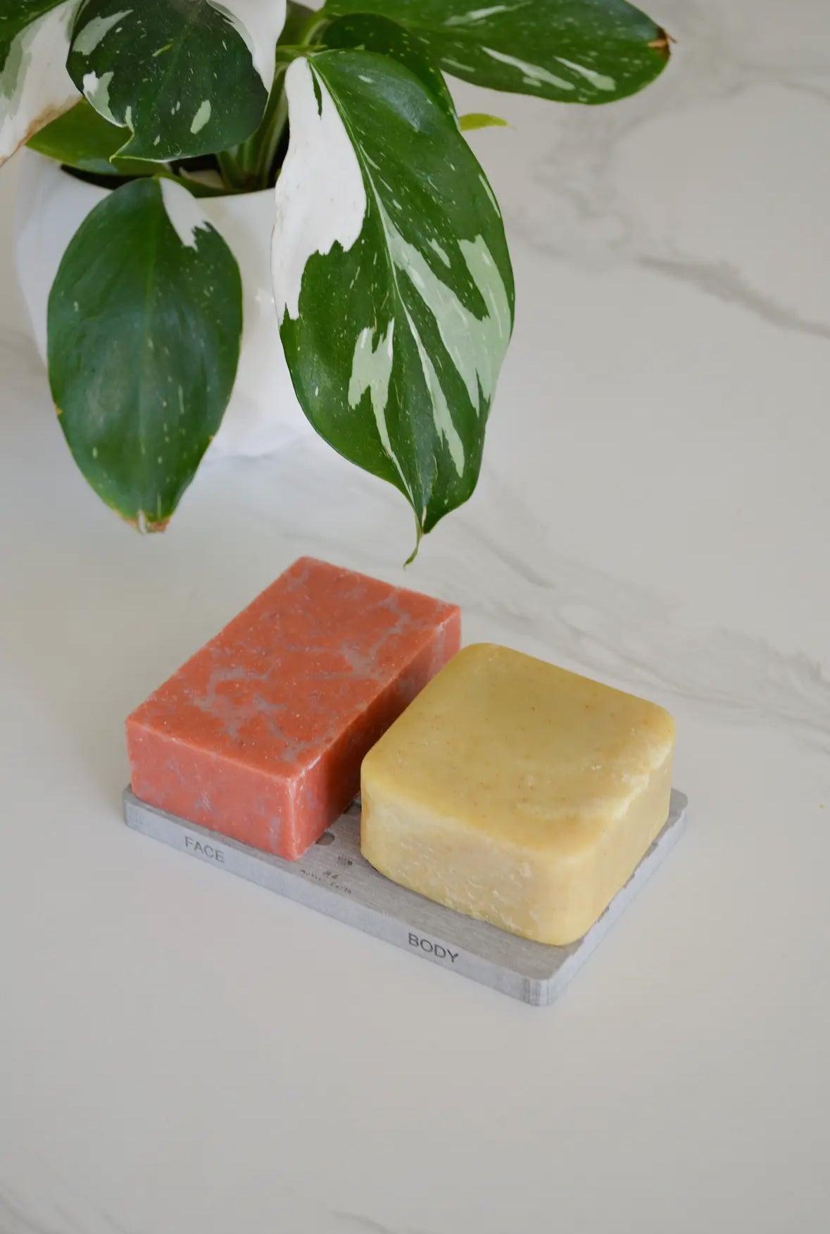 Diatomite Soap Dish